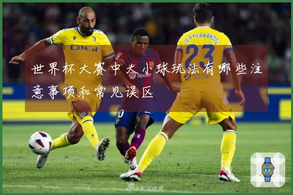 世界杯大赛中大小球玩法有哪些注意事项和常见误区