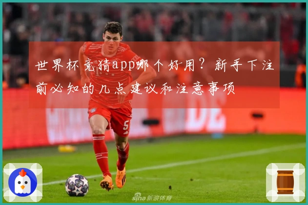 世界杯竞猜app哪个好用？新手下注前必知的几点建议和注意事项